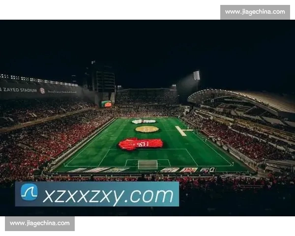 全面解析体育平台入口助力用户畅享精彩赛事体验